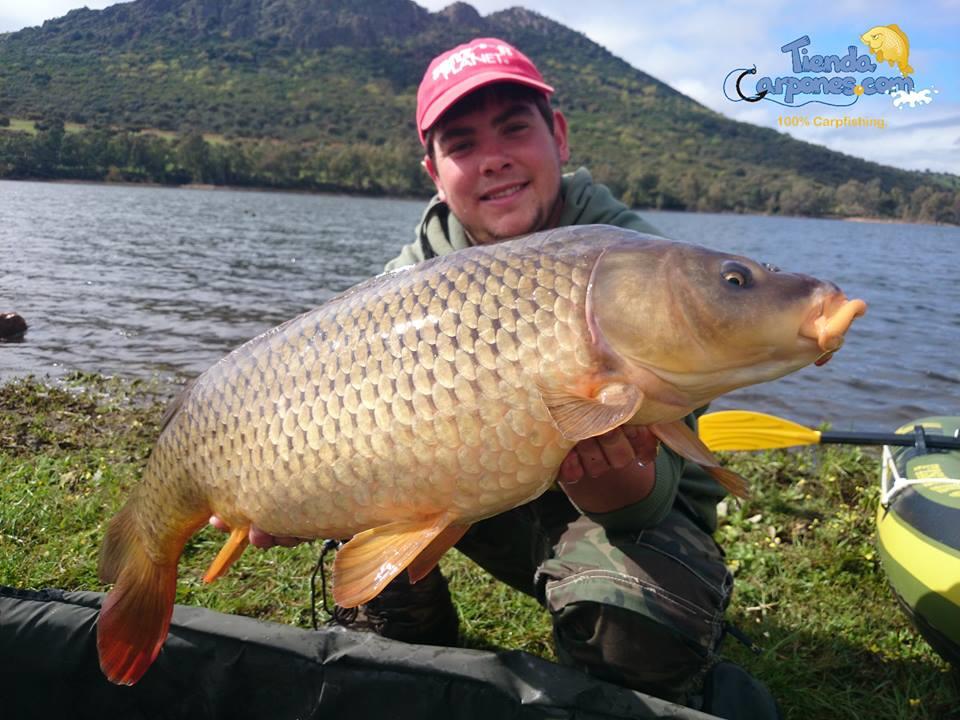 SENZOR PLANET IN SPANIA 2014 - Boilies 1016